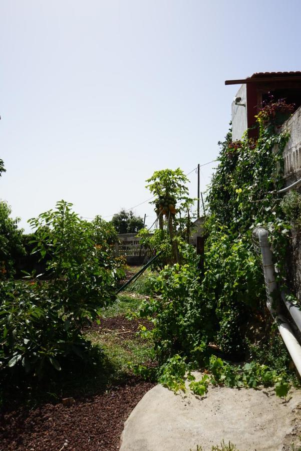 Casa Rural En Tenerife Willa Güimar Zewnętrze zdjęcie