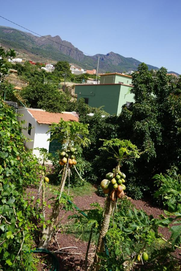 Casa Rural En Tenerife Willa Güimar Zewnętrze zdjęcie
