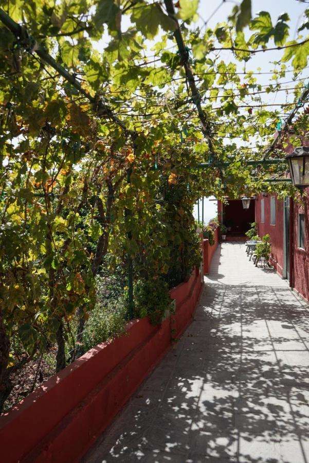 Casa Rural En Tenerife Willa Güimar Zewnętrze zdjęcie